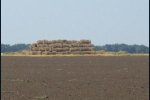Figure 2. Straw has few alternative uses in Ukraine and burning in the field is still common. Figure 2. Straw has few alternative uses in Ukraine and burning in the field is still common.