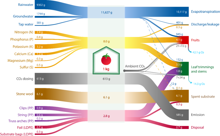 Material flow diagram of water, fertilisers, CO2, substrate and plastics for a tomato crop in the Netherlands. NB; within 1 type of material flow, the size of different flows can be compared. For example, it can be seen that of the fertilisers, potassium is used the most and magnesium the least. The size of flows cannot be compared between different material flows. This visualization method was chosen because water is by far the largest flow, so that the other material flows should be depicted negligibly small. Source: Van Tuyll, Boedijn et al. (2022) Material flow diagram of water, fertilisers, CO2, substrate and plastics for a tomato crop in the Netherlands. NB; within 1 type of material flow, the size of different flows can be compared. For example, it can be seen that of the fertilisers, potassium is used the most and magnesium the least. The size of flows cannot be compared between different material flows. This visualization method was chosen because water is by far the largest flow, so that the other material flows should be depicted negligibly small. Source: Van Tuyll, Boedijn et al. (2022)