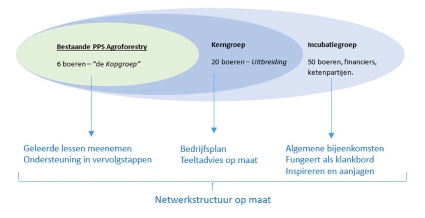Organigram van de netwerkstructuur op maat Organigram van de netwerkstructuur op maat