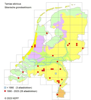 Verspreidingskaart Siberische grondeekhoorn Verspreidingskaart Siberische grondeekhoorn
