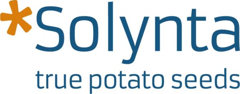 logo solynta logo solynta