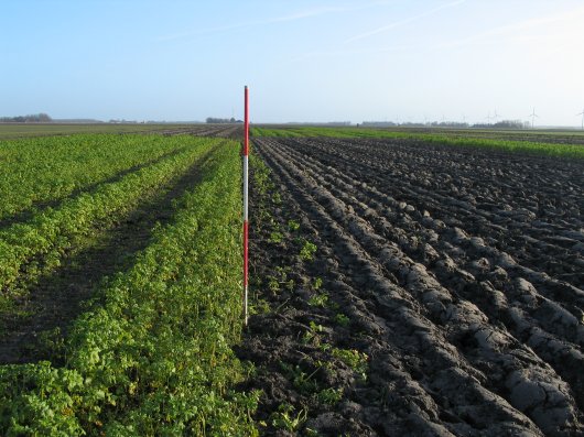 Kust kleigrond kan flink opknappen dankzij koudegolf onder.jpg Kust kleigrond kan flink opknappen dankzij koudegolf onder.jpg