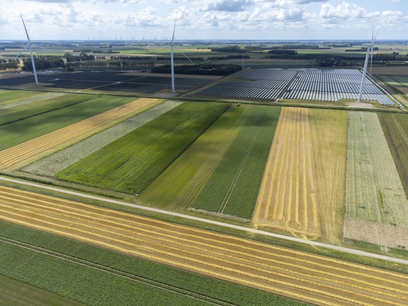 In gemengde teeltsystemen worden veel verschillende soorten gewassen samen geteeld. Foto: HAKO fotografie. In gemengde teeltsystemen worden veel verschillende soorten gewassen samen geteeld. Foto: HAKO fotografie.