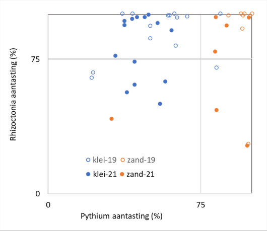 Figuur 1. Aantasting van een toetsgewas door Pythium en Rhizoctonia in grond van 22 akkerbouwpercelen (klei- of zandgrond) in 2019 en 2021 waaraan deze ziekteverwekkers zijn toegevoegd. Figuur 1. Aantasting van een toetsgewas door Pythium en Rhizoctonia in grond van 22 akkerbouwpercelen (klei- of zandgrond) in 2019 en 2021 waaraan deze ziekteverwekkers zijn toegevoegd.