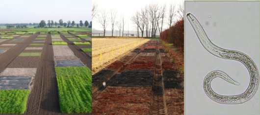 Maatregelen-voor-gezondere-bodem.jpg Maatregelen-voor-gezondere-bodem.jpg