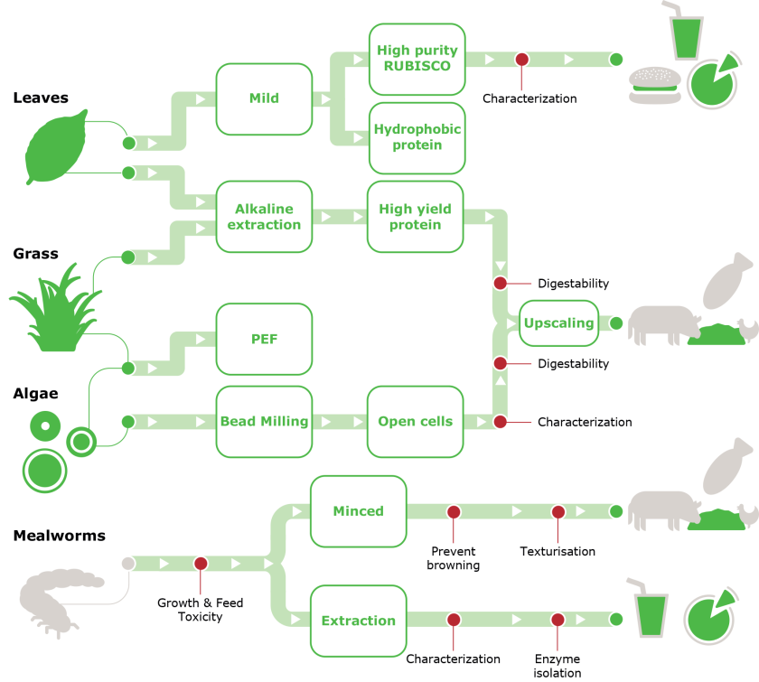 Research on extraction methods, processing, and applicability of alternative protein sources as conducted in the STW protein programme Research on extraction methods, processing, and applicability of alternative protein sources as conducted in the STW protein programme