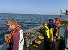 Visser Stefan Tijsen op zijn kotter WR147 zoekt samen met de onderzoekers de vangsten uit in windpark Hollandse Kust Zuid Visser Stefan Tijsen op zijn kotter WR147 zoekt samen met de onderzoekers de vangsten uit in windpark Hollandse Kust Zuid