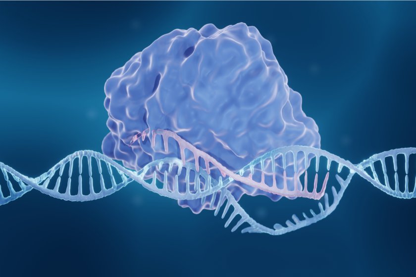 Het CRISPR-systeem Het CRISPR-systeem