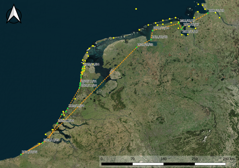Vliegroute van een veldleeuwerik die in de nacht van 4 november 2020 in iets meer dan zes uur vanuit de kop van Noord-Holland naar Zuid-België vloog. In de nacht van 2 februari 2021 begon de terugreis via Groningen naar Emden in Noordwest-Duitsland. Twee weken later werd de tocht in kleine stapjes voortgezet richting het noordoosten. Vliegroute van een veldleeuwerik die in de nacht van 4 november 2020 in iets meer dan zes uur vanuit de kop van Noord-Holland naar Zuid-België vloog. In de nacht van 2 februari 2021 begon de terugreis via Groningen naar Emden in Noordwest-Duitsland. Twee weken later werd de tocht in kleine stapjes voortgezet richting het noordoosten.
