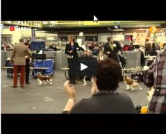 Video Video