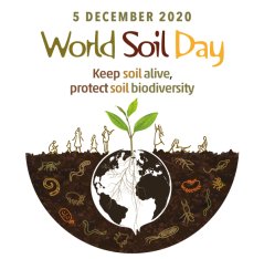 Webinar World soil day.jpg Webinar World soil day.jpg