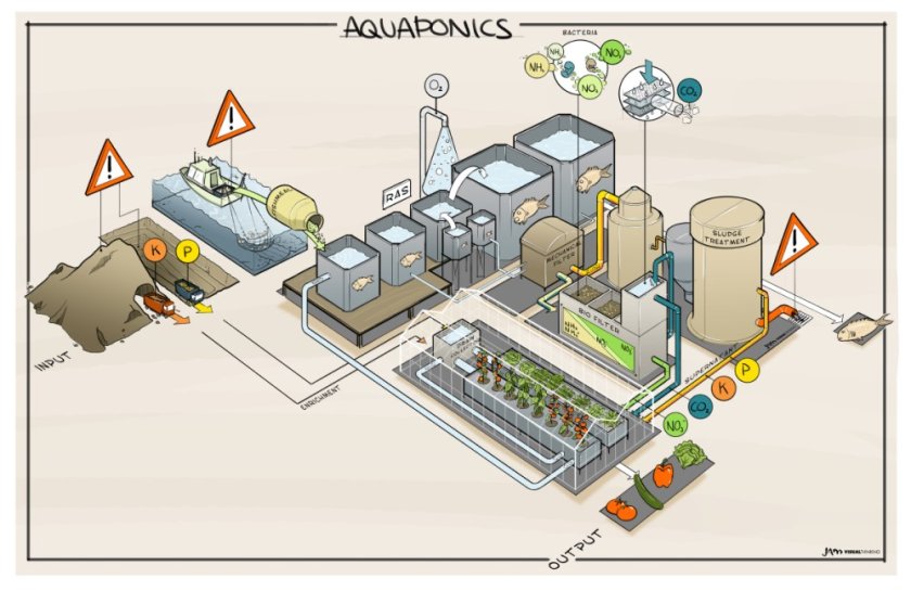 Sketch of an aquaponic system: a cross-over between greenhouse horticulture and aquaculture. Sketch of an aquaponic system: a cross-over between greenhouse horticulture and aquaculture.
