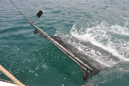 The innovative fishing gear without the steel rope The innovative fishing gear without the steel rope