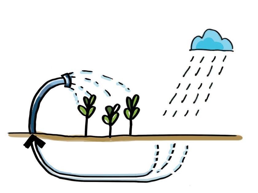 case study II_Rainwater harvesting for irrigation.jpg case study II_Rainwater harvesting for irrigation.jpg