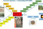 Figure 1. The total concept of the project is to use straw, reed and switchgrass for pelletization and local use or export.  Figure 1. The total concept of the project is to use straw, reed and switchgrass for pelletization and local use or export.
