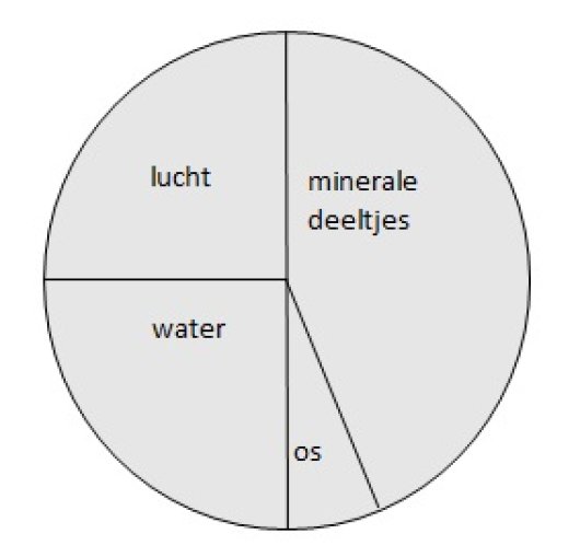 taart.jpg taart.jpg