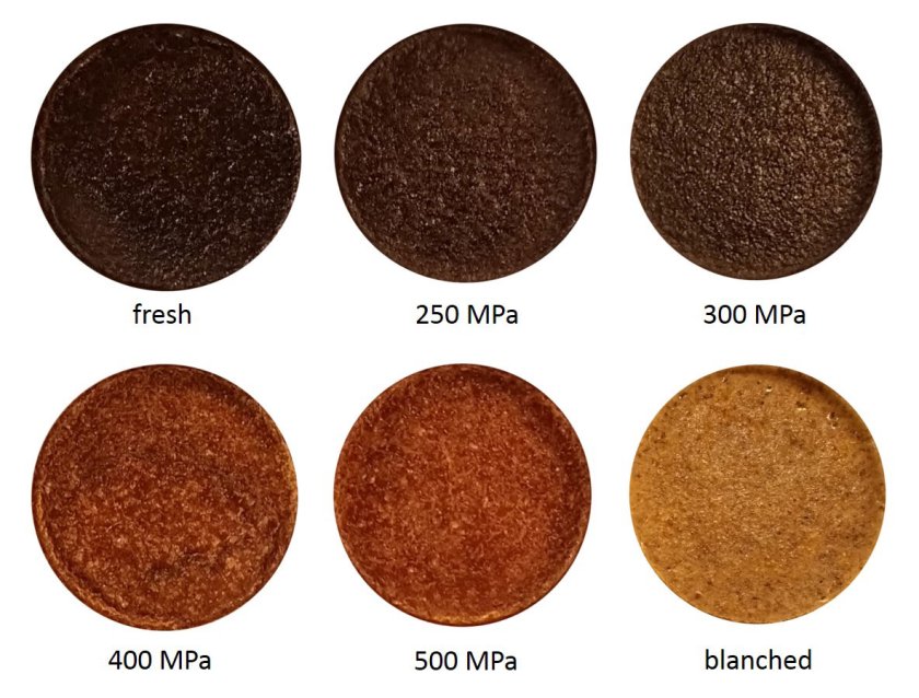 Figure: Baked mealworm paste is dark brown for fresh and 250-300 MPa, compared to light brown for 400-500 MPa and light brown for blanched treatment. Figure: Baked mealworm paste is dark brown for fresh and 250-300 MPa, compared to light brown for 400-500 MPa and light brown for blanched treatment.