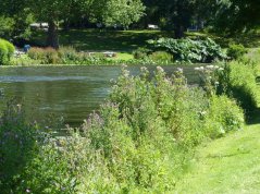 2015-3 Singelpark Leiden.jpg 2015-3 Singelpark Leiden.jpg
