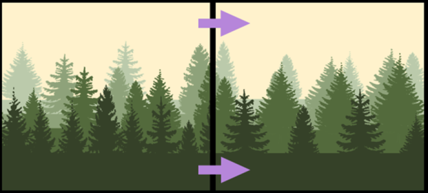 De verwachte verschuiving in boreale bossen. Links de bostypen die nu veel voorkomen: met hogere boomdichtheden in de warmere, zuidelijke zone (voorgrond, donkergroen), en lagere boomdichtheden in de koude, noordelijke zone (achtergrond, lichtgroen). Rechts de gemodelleerde verschuiving naar één soort boomdichtheid. Het type dicht boreaal bos wordt daarbij opener, en het type open boreaal bos wordt dichter. De verwachte verschuiving in boreale bossen. Links de bostypen die nu veel voorkomen: met hogere boomdichtheden in de warmere, zuidelijke zone (voorgrond, donkergroen), en lagere boomdichtheden in de koude, noordelijke zone (achtergrond, lichtgroen). Rechts de gemodelleerde verschuiving naar één soort boomdichtheid. Het type dicht boreaal bos wordt daarbij opener, en het type open boreaal bos wordt dichter.