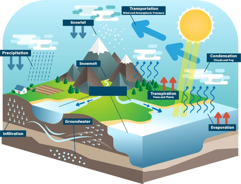 A schematic overview of the natural water cycle on Earth. It is clear that precipitation plays a crucial role in the water balance. In regions with little precipitation, groundwater is usually a reserve that was built up over thousands of years. If every year people take out more water than gets naturally replenished, this reserve will be exhausted. Source: VectorMine/Shutterstock.com A schematic overview of the natural water cycle on Earth. It is clear that precipitation plays a crucial role in the water balance. In regions with little precipitation, groundwater is usually a reserve that was built up over thousands of years. If every year people take out more water than gets naturally replenished, this reserve will be exhausted. Source: VectorMine/Shutterstock.com