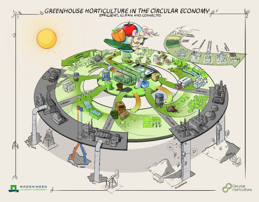 Guiding vision of the future for greenhouse horticulture in a circular economy; dependence on finite, raw materials from natural reserves is phased out. Instead, local, renewable sources are used as much as possible and material cycles are closed, in collaboration with other sectors. Guiding vision of the future for greenhouse horticulture in a circular economy; dependence on finite, raw materials from natural reserves is phased out. Instead, local, renewable sources are used as much as possible and material cycles are closed, in collaboration with other sectors.