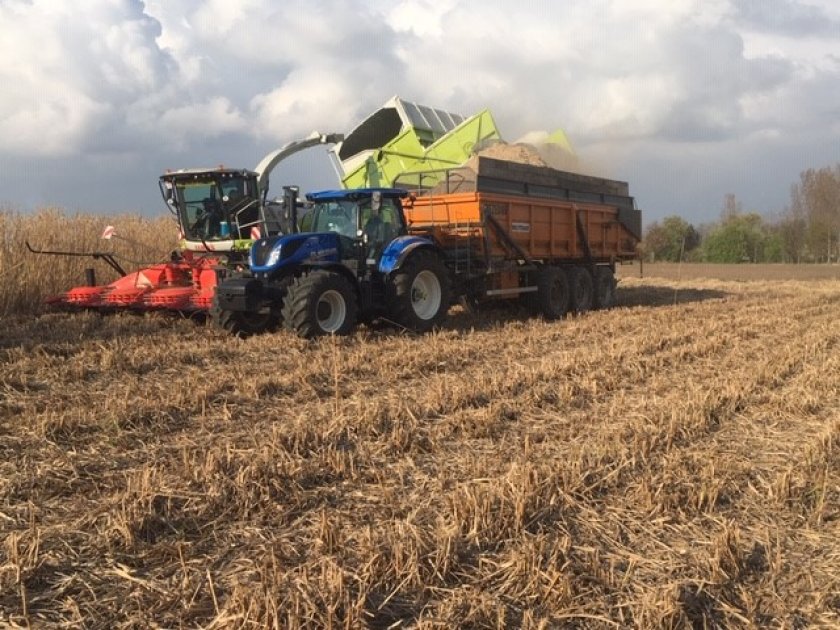 Figure 1, Miscanthus harvest (Cradle Crops) Figure 1, Miscanthus harvest (Cradle Crops)