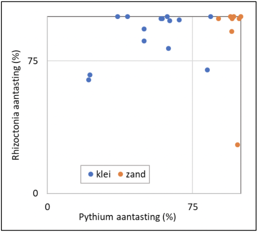 Figuur 1. Aantasting van een toetsgewas door Pythium en Rhizoctonia in grond van 22 akkerbouwpercelen (klei- of zandgrond) waaraan deze ziekteverwekkers zijn toegevoegd. Figuur 1. Aantasting van een toetsgewas door Pythium en Rhizoctonia in grond van 22 akkerbouwpercelen (klei- of zandgrond) waaraan deze ziekteverwekkers zijn toegevoegd.