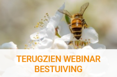 webinar bestuiving.png webinar bestuiving.png