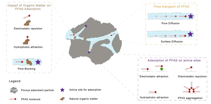 Figure 1. Mechanistic interactions between PFAS and adsorption material that will be studied Figure 1. Mechanistic interactions between PFAS and adsorption material that will be studied