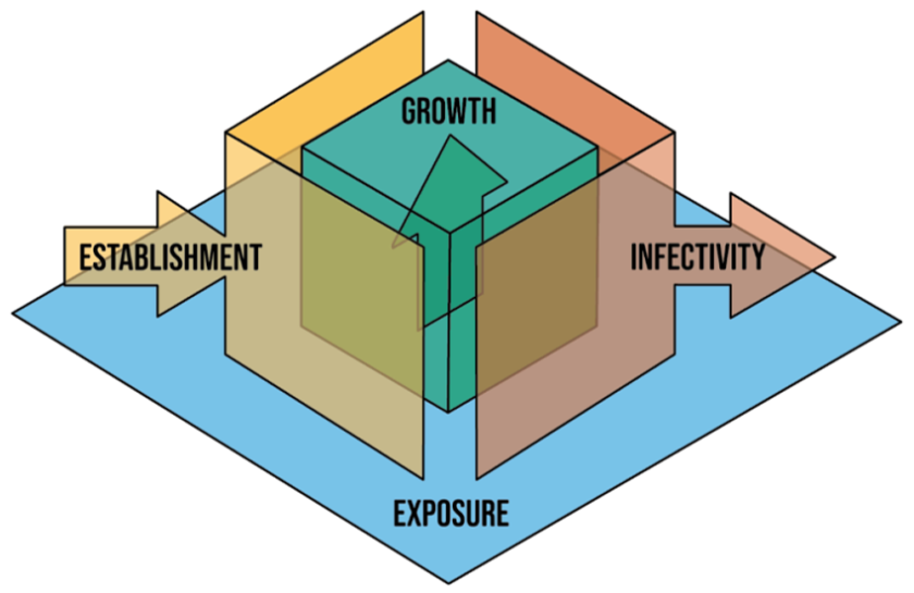 Figuur. Plant and Animal Diversity and Disease across Levels in Ecology (PADDLE) Model. In dit model staat de gastheerkwaliteit, de bijdrage van een gastheersoort aan de fitheid van een parasietsoort, centraal. Blootstelling (exposure): waarschijnlijkheid van contact tussen een gastheer en infectieuze parasietpropagulen. Vestiging (establishment): waarschijnlijkheid dat de parasiet een gastheer infecteert, mits er contact is geweest. Groei: groei en persistentie van parasieten in een geïnfecteerde gastheer. Infectiviteit (infectivity): afgifte van infectieuze propagulen van een geïnfecteerde gastheer die toegankelijk zijn voor vatbare gastheren. Door Mommer en PADDLE team. Figuur. Plant and Animal Diversity and Disease across Levels in Ecology (PADDLE) Model. In dit model staat de gastheerkwaliteit, de bijdrage van een gastheersoort aan de fitheid van een parasietsoort, centraal. Blootstelling (exposure): waarschijnlijkheid van contact tussen een gastheer en infectieuze parasietpropagulen. Vestiging (establishment): waarschijnlijkheid dat de parasiet een gastheer infecteert, mits er contact is geweest. Groei: groei en persistentie van parasieten in een geïnfecteerde gastheer. Infectiviteit (infectivity): afgifte van infectieuze propagulen van een geïnfecteerde gastheer die toegankelijk zijn voor vatbare gastheren. Door Mommer en PADDLE team.