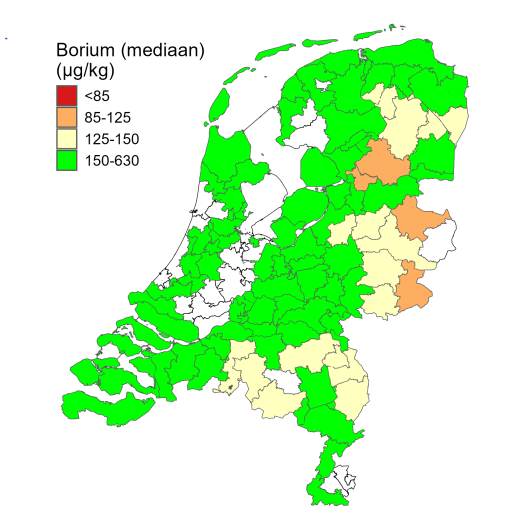 borium_grond_historisch.png borium_grond_historisch.png
