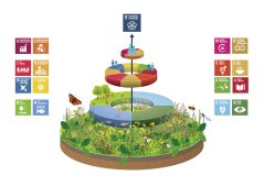 Deze illustratie laat zien hoe het natuurlijk systeem de andere systemen ‘draagt’. Deze illustratie laat zien hoe het natuurlijk systeem de andere systemen ‘draagt’.