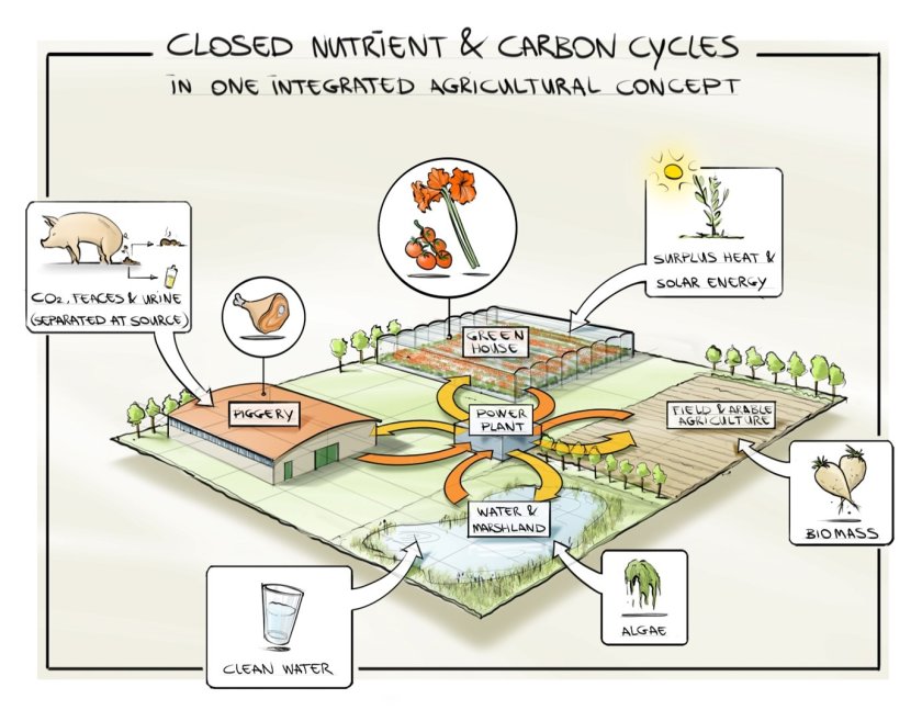 Sketch of a concept in which material flows between a greenhouse, pig farm and arable farm are exchanged. Although there are logistical advantages to keeping different types of farms close to each other, loops can also be closed over larger distances, with the help of central processing and distribution points. Sketch of a concept in which material flows between a greenhouse, pig farm and arable farm are exchanged. Although there are logistical advantages to keeping different types of farms close to each other, loops can also be closed over larger distances, with the help of central processing and distribution points.