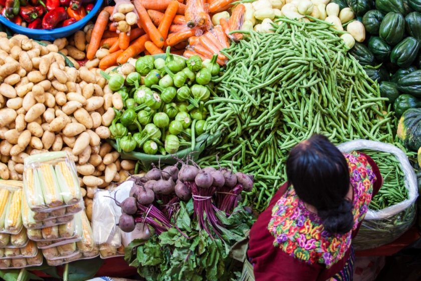‘Het hele systeem moet op de schop. De nadruk moet liggen op inclusieve en rechtvaardige besluitvorming.' Photo: Tati Nova photo Mexico / Shutterstock.com. ‘Het hele systeem moet op de schop. De nadruk moet liggen op inclusieve en rechtvaardige besluitvorming.' Photo: Tati Nova photo Mexico / Shutterstock.com.