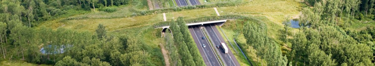 Saferoad will help establish a sustainable green infrastructure across Europe, by identifying cost-efficient and ecologically-effective mitigation strategies and maintenance practices to reduce road-wildlife conflicts.